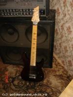 SCHECTER Jeff Loomis Цена: 38 т.р.